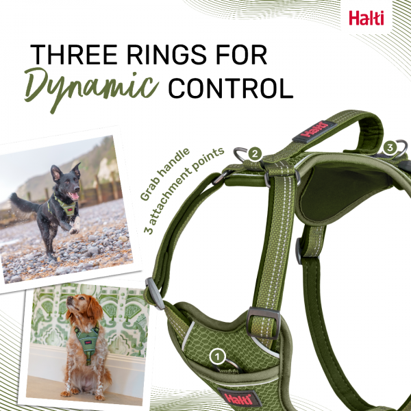 Halti Anatomy Harness Green Dynamic Control Infographic 1080 Halti Anatomy Harness Green Dynamic Control Infographic 1080