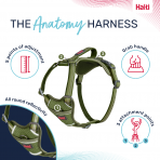 Halti Anatomy Harness Green Product Features Infographic 1080