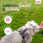 Halti Anatomy Harness Grey Comfort and Visibility Infographic 1080