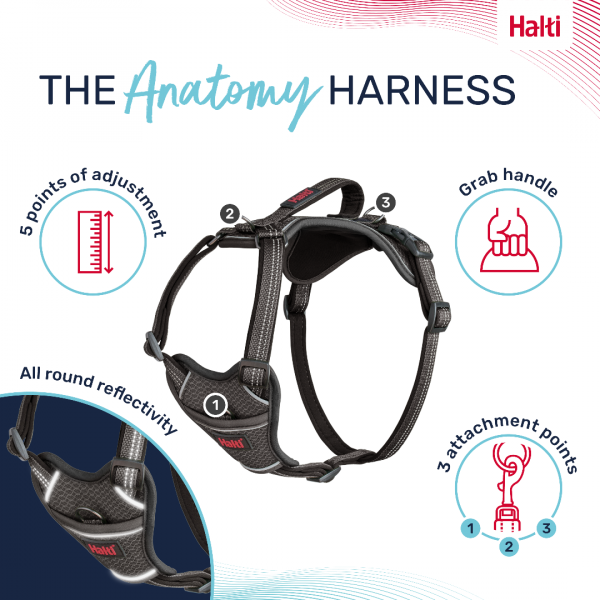 Halti Anatomy Harness Grey Product Features Infographic 1080 Halti Anatomy Harness Grey Product Features Infographic 1080