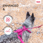 Halti Anatomy Harness Magenta Comfort and Visibility Infographic 1080