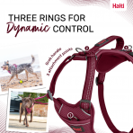 Halti Anatomy Harness Magenta Dynamic Control Infographic 1080