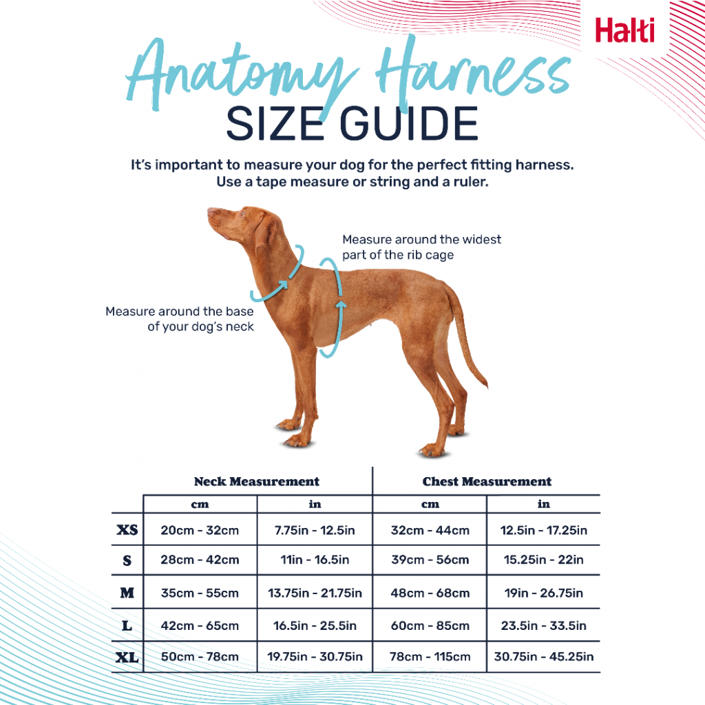 Halti Anatomy Dog Harness size guide