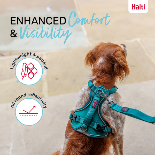 Halti Anatomy Harness Teal Comfort and Visibility Infographic 1080 Halti Anatomy Harness Teal Comfort and Visibility Infographic 1080
