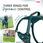 Halti Anatomy Harness Teal Dynamic Control Infographic 1080