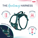 Halti Anatomy Harness Teal Product Features Infographic 1080