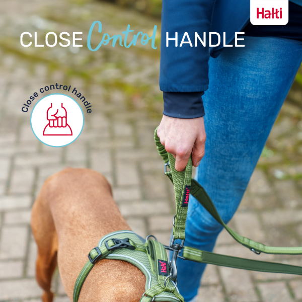 Halti Anatomy Lead Green Handle Infographic 1080 Halti Anatomy Lead Green Handle Infographic 1080