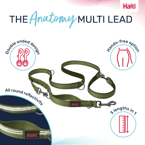 Halti Anatomy Lead Green Infographic 1080 Halti Anatomy Lead Green Infographic 1080