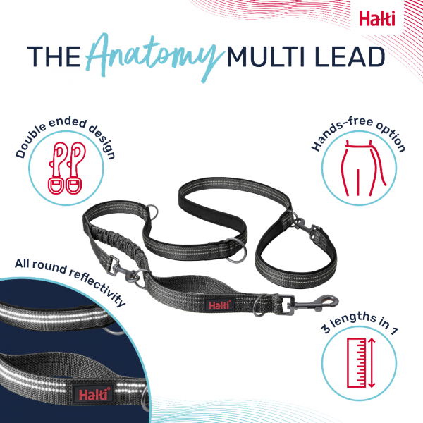 Halti Anatomy Lead Grey Product Features Infographic 1080 Halti Anatomy Lead Grey Product Features Infographic 1080