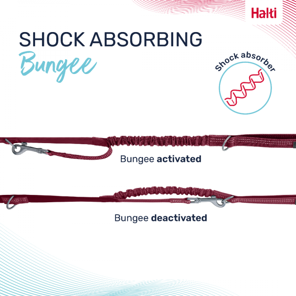 Halti Anatomy Lead Magenta Bungee Infographic 1080 Halti Anatomy Lead Magenta Bungee Infographic 1080