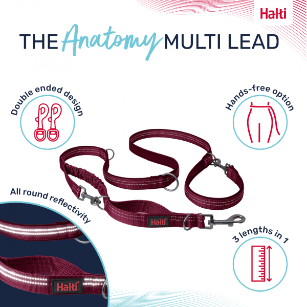 Halti Anatomy Lead Magenta Product Features Infographic 1080 Halti Anatomy Lead Magenta Product Features Infographic 1080