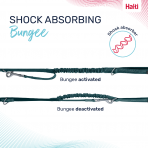 Halti Anatomy Lead Teal Bungee Infographic 1080