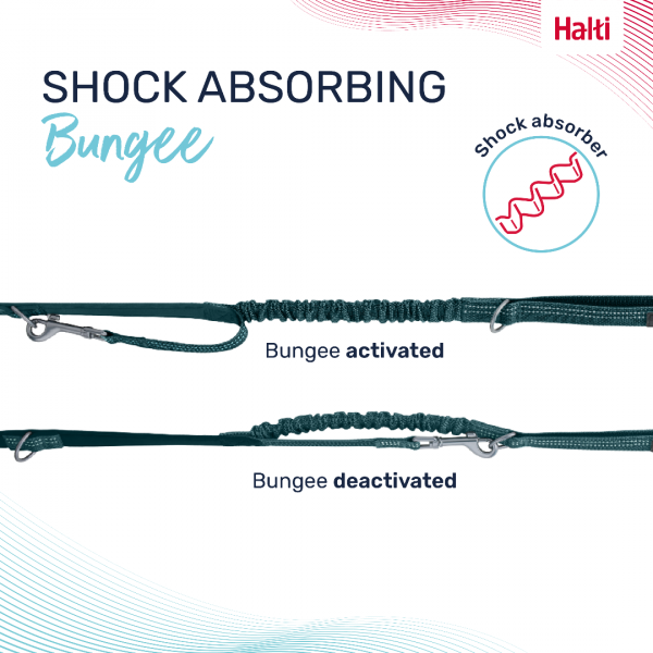 Halti Anatomy Lead Teal Bungee Infographic 1080 Halti Anatomy Lead Teal Bungee Infographic 1080
