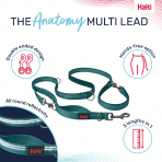 Halti Anatomy Lead Teal Product Features Infographic 1080