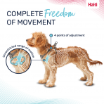 Halti Anatomy Puppy Harness Complete Freedom Infographic 1080