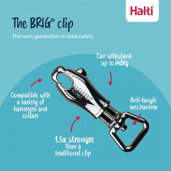 Halti BRIG Safety Lead BRIG Clip Infographic 1080 Halti BRIG Safety Lead BRIG Clip Infographic 1080