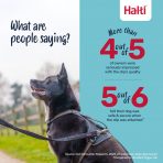 Halti BRIG Safety Lead Feedback Infographic 1080