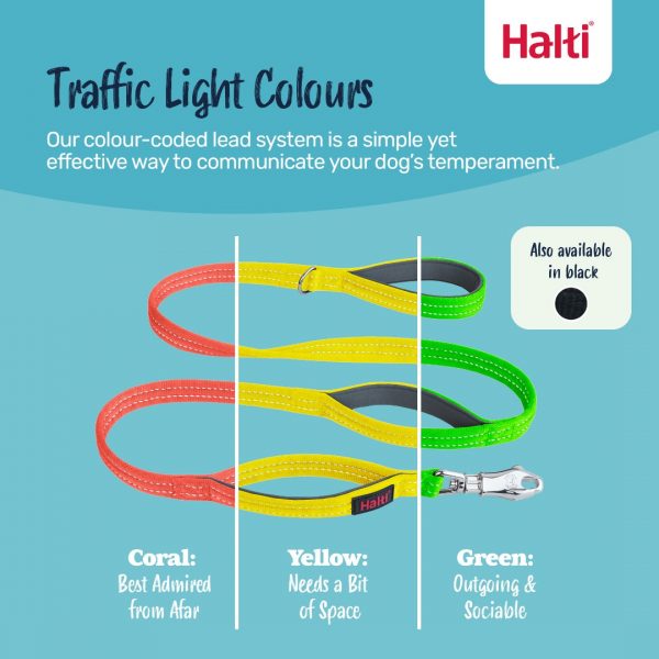 Halti BRIG Safety Lead Infogrpahic Traffic Light Colours 1080 Halti BRIG Safety Lead Infogrpahic Traffic Light Colours 1080