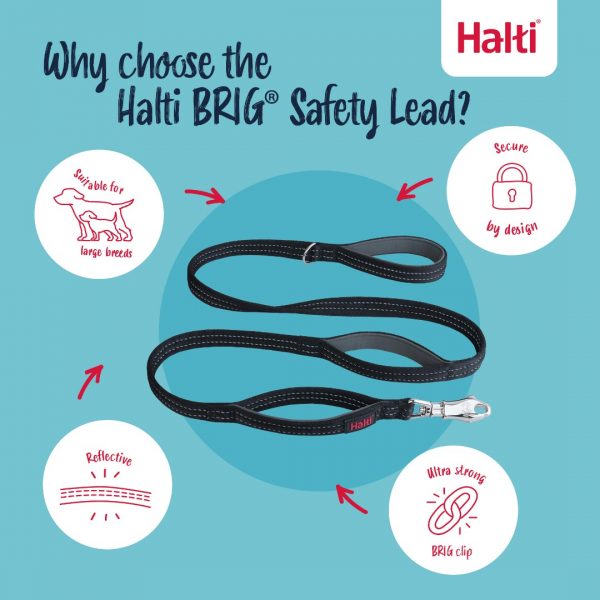 Halti BRIG Safety Lead Why Choose Infographic 1080 Halti BRIG Safety Lead Why Choose Infographic 1080