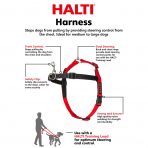 Halti Front Control F&B 1024