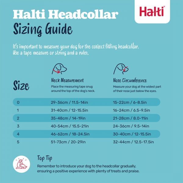 Halti Head Collar Size Guide NEW 1080 Halti Head Collar Size Guide NEW