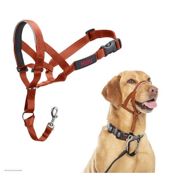 Halti Headcollar Burnt Orange 1024 Halti Headcollar Burnt Orange 1024