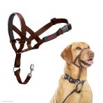 Walnut coloured Head Colour, with a pic of Labrador wearing it too