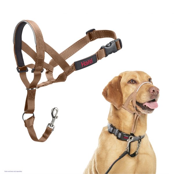 Halti Headcollar Desert Sand 1024 Sand coloured head collar with additional pic of Labrador modelling it