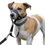 Halti Headcollar Jack_Russell - Size 1