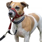 Halti Headcollar Jack_Russell - Size 1_Red