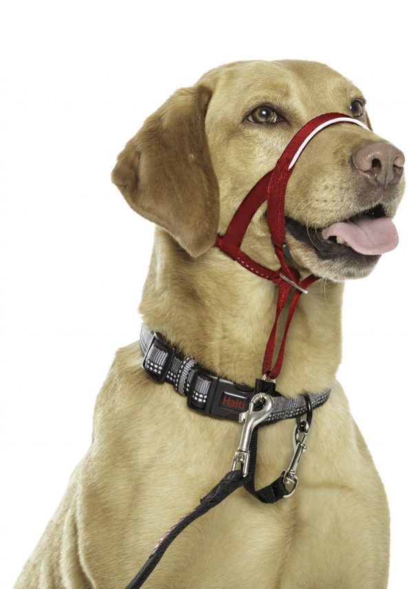 Halti Headcollar Labrador - Size 3_Red Halti Headcollar Labrador - Size 3_Red