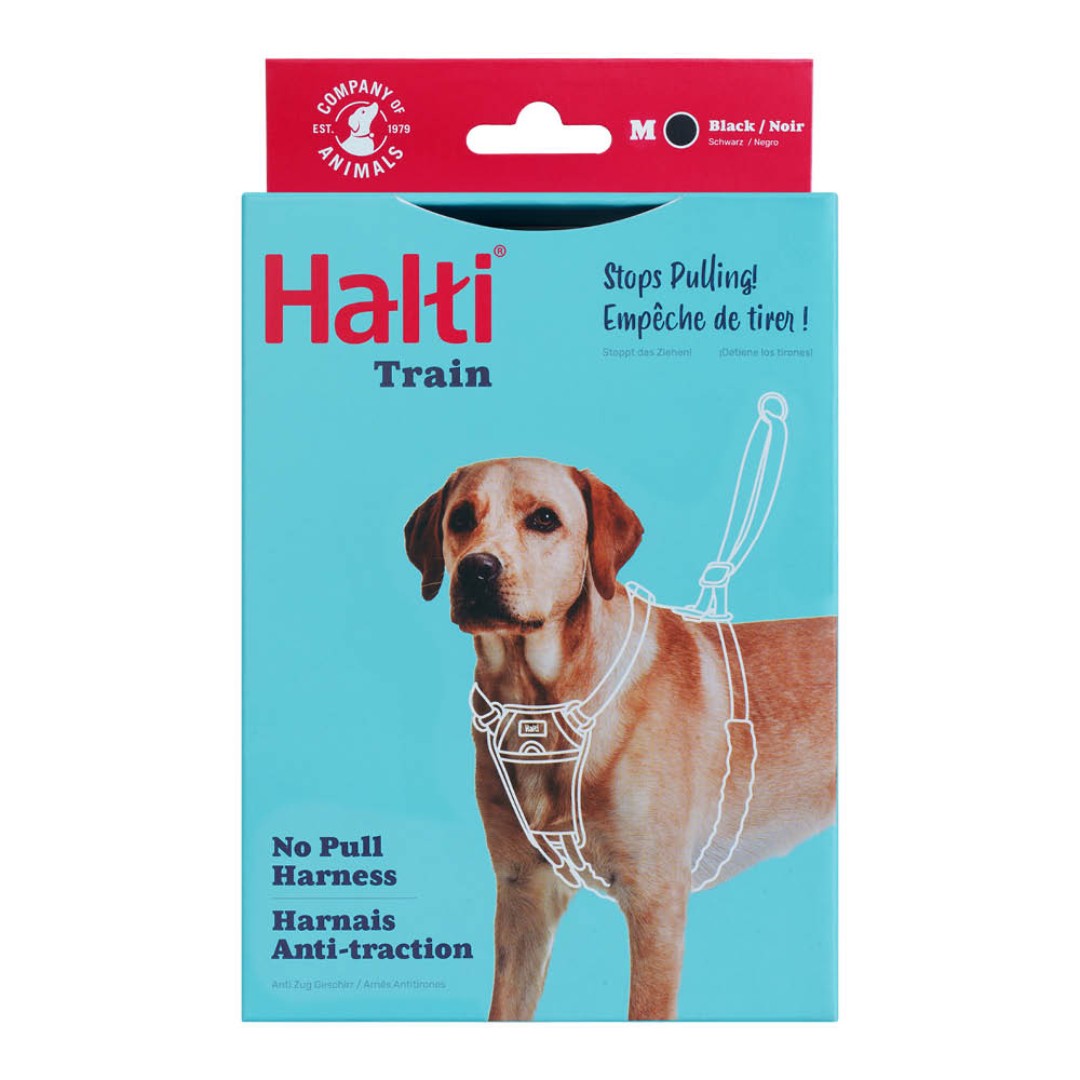 Medium Halti No Pull Harness box with Labrador on front