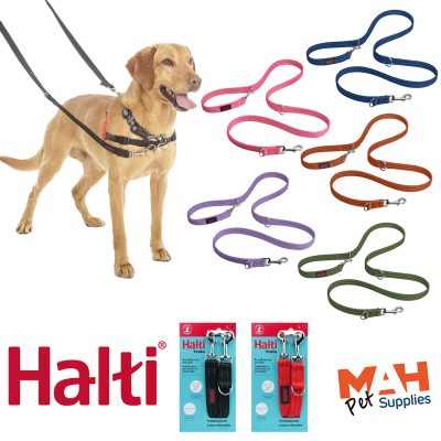 Product graphic showing the double-ended Halti Training Lead displayed in seven available colours—pink, cobalt blue, burnt orange, purple, and forest green - alongside retail packaging showing the black and red variants and a golden Labrador on the left wearing a harness attached to the black multi-functional lead. The graphic features the red Halti logo at the bottom left and the orange and navy MAH Pet Supplies logo at the bottom right against a plain white background