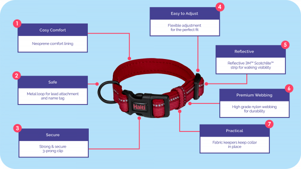 Halti-Walking_Comfort-Collar_Features_Close-Ups_1100x620 Halti Comfort Dog Collar Feature and benefits graphic slide