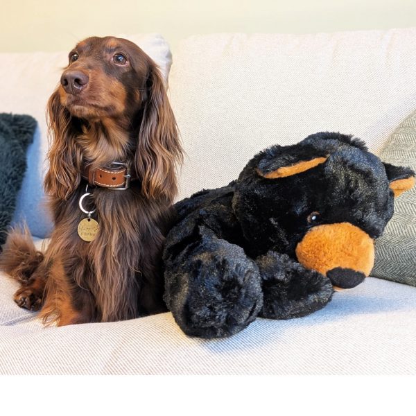 HappyPet Black Bear Lifestyle 1080px HappyPet Black Bear Lifestyle 1080px