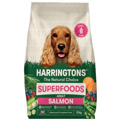 A high-resolution product shot of a 12kg bag of Harringtons Superfoods Adult Salmon dog food, featuring the brand's updated packaging. The top half of the bag is cream-coloured with a large, high-detail portrait of a Golden Cocker Spaniel and a pink "Grain Free" seal. The bottom half is a rich forest green, displaying the Harringtons: The Natural Choice logo above a bold pink and white "Superfoods Adult Salmon" label. Vibrant illustrations of fresh ingredients, including salmon fillets, sweet potatoes, peas, blueberries, and rosemary, surround the text. At the base, small icons highlight benefits such as "Freshly Prepared Meat Ingredients" and "Grain Free for Sensitive Tummies," alongside a Union Jack "Made in the UK" logo.