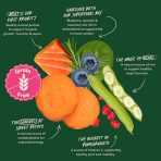 Harringtons Superfoods Salmon Ingrediants 1080px