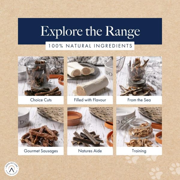 Hollings Explore the Range Hollings Explore the Range