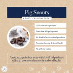 Hollings Pig Snouts2 1080px