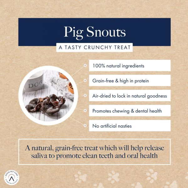 Hollings Pig Snouts2 1080px Hollings Pig Snouts2 1080px