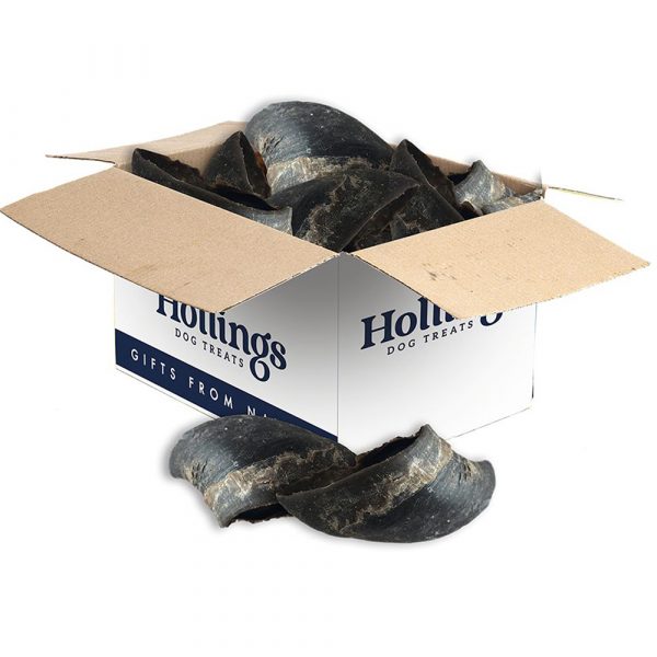 Hollings Plain Hoof Box 1000