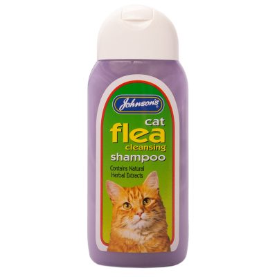 Bottle of cat flea shampoo with ginger cat on label