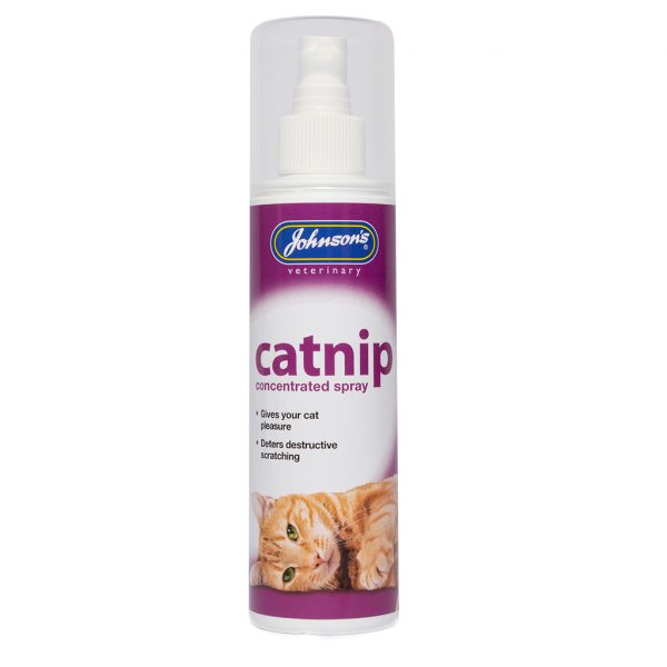 Johnsons Catnip Spray 1024