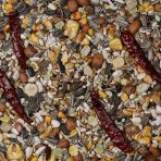Johnston & Jeff No1 Parrot Food Seed Mix 1080px