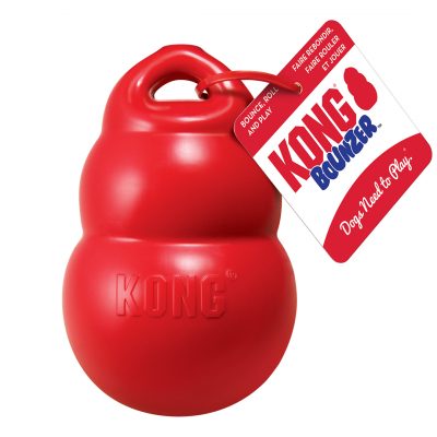 KONG Bounzer