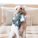 KONG Comfort Kiddos Elephant Small Lifestyle 1080