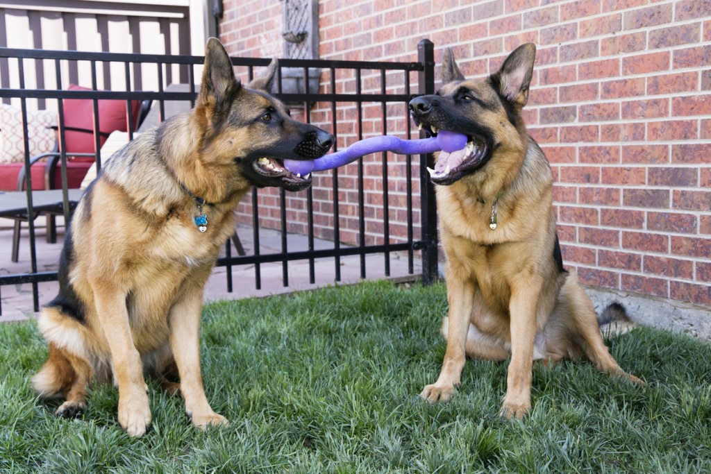 KONG Ogee Stick Medium - Image 7