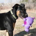 KONG Phatz Hippo Lifestyle5 1080px