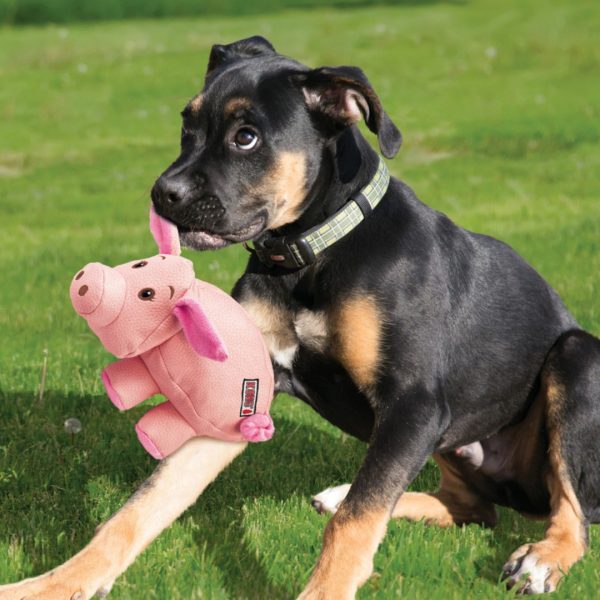 KONG Phatz Pig Med Lifestyle 1080 KONG Phatz Pig Med Lifestyle 1080