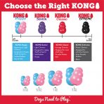 How to Choose the right Kong Toy for your Puppy Infographic